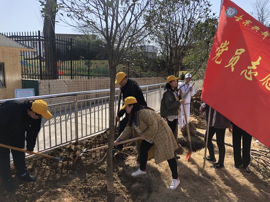 必赢官网党员志愿服务队开展义务植树活动